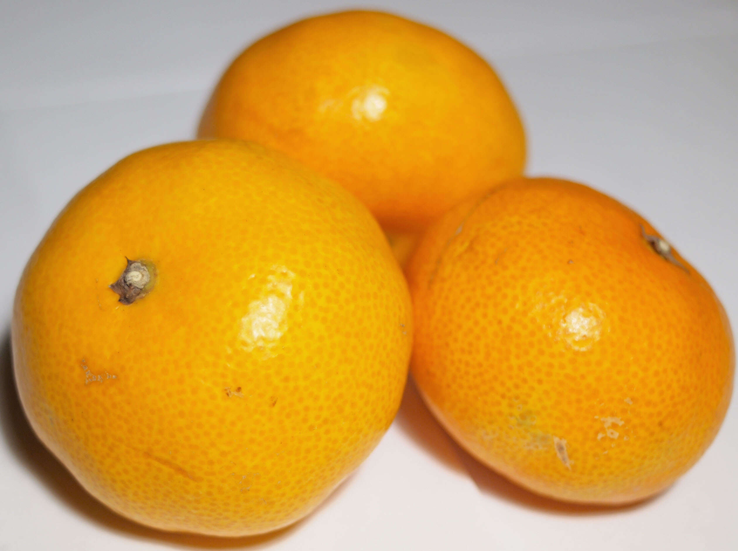 Image of Citrus unshiu