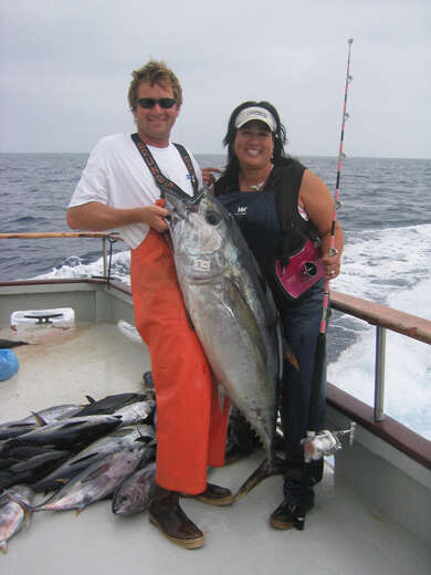 Image of Bigeye Tuna