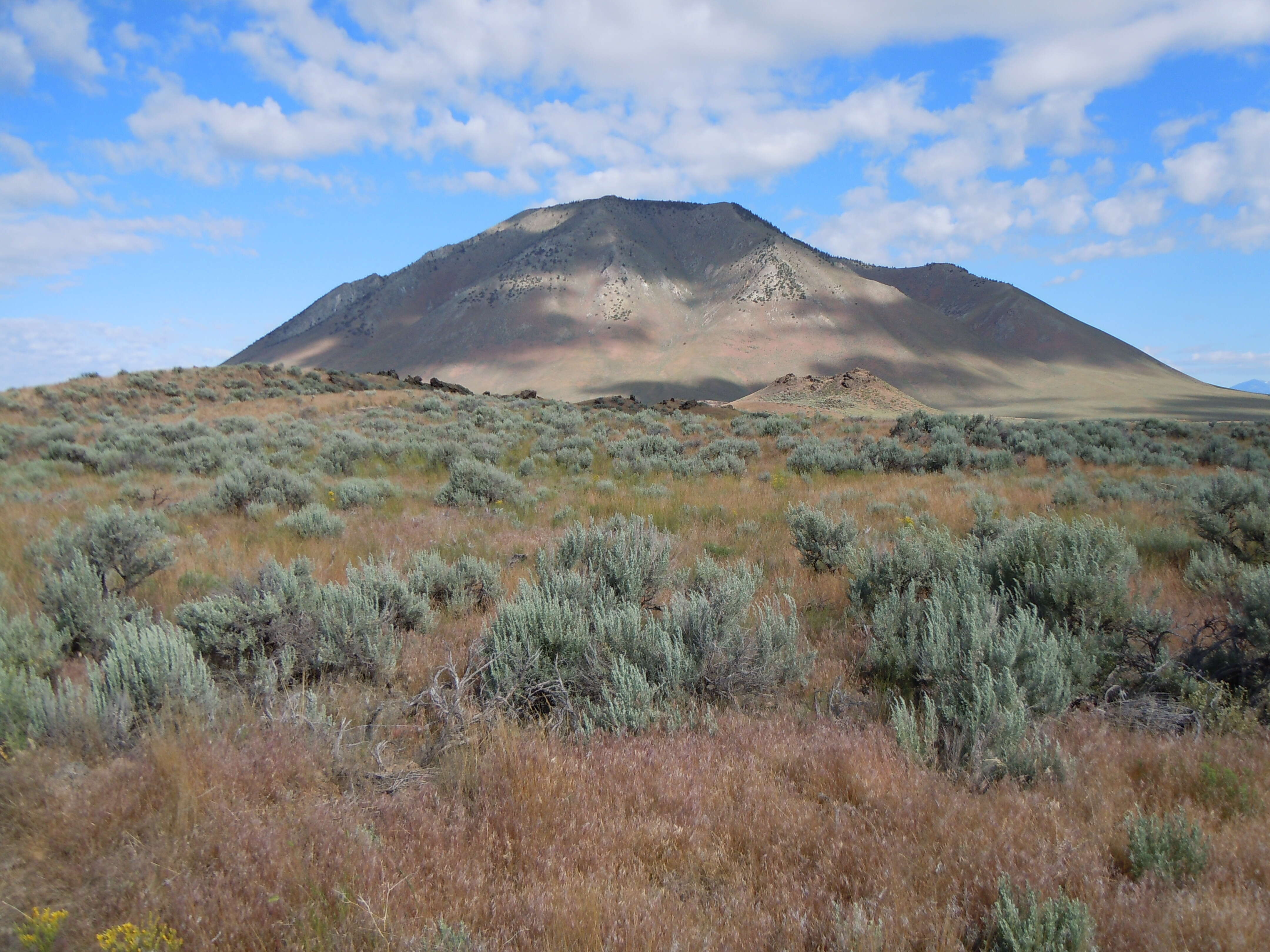 Imagem de Artemisia tridentata (Nutt.) W. A. Weber