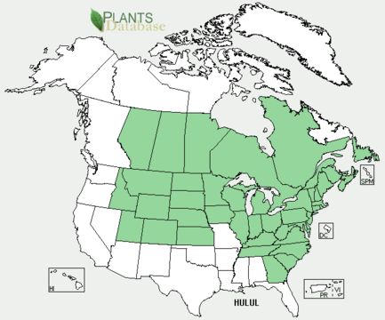 <span class="translation_missing" title="translation missing: en.medium.untitled.map_image_of, page_name: common hop">Map Image Of</span>