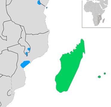 <span class="translation_missing" title="translation missing: en.medium.untitled.map_image_of, page_name: Mascarene Martin">Map Image Of</span>