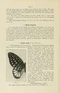 Image de Graphium meeki (Rothschild & Jordan 1901)