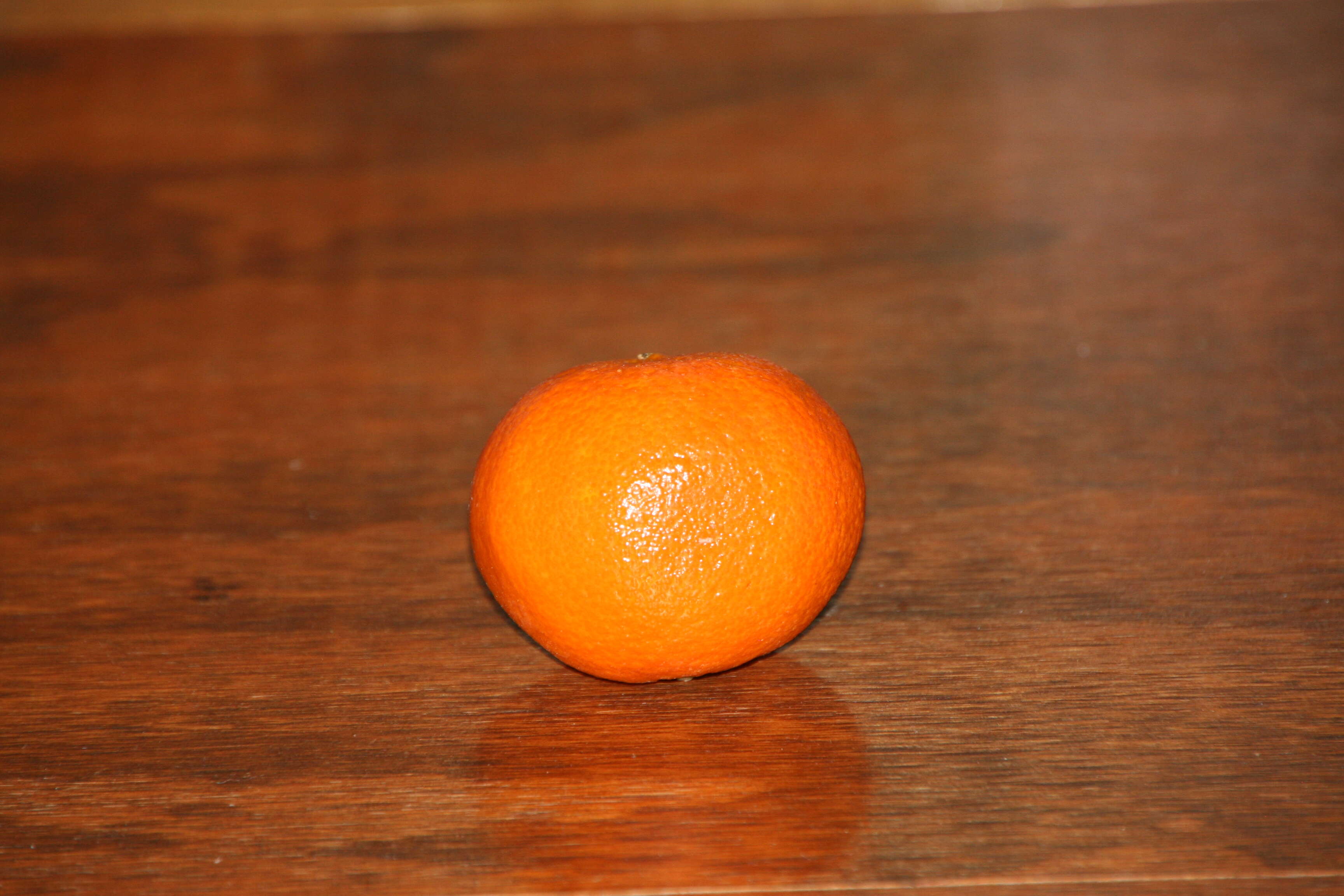 Image of Citrus × clementina