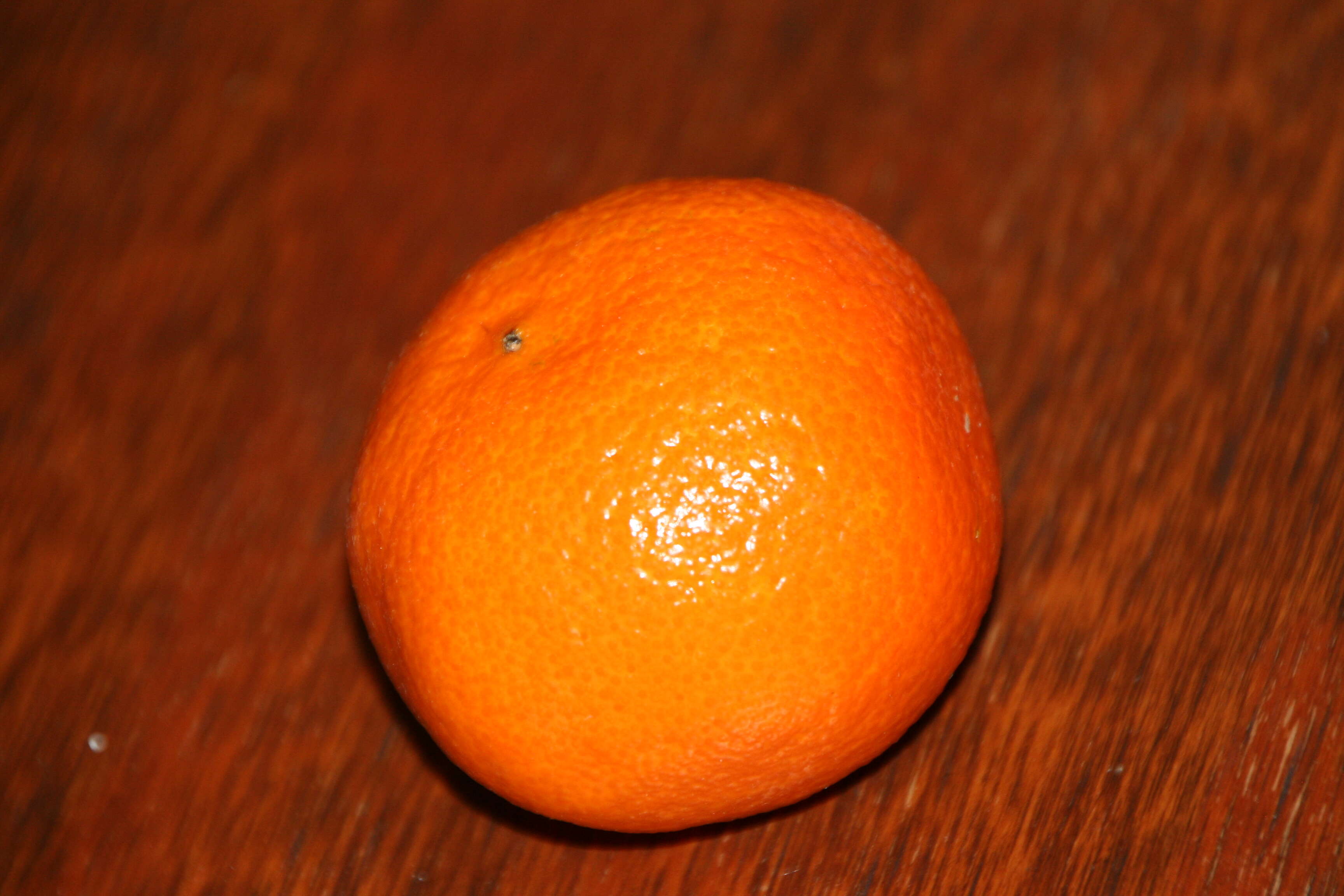 Image of Citrus × clementina