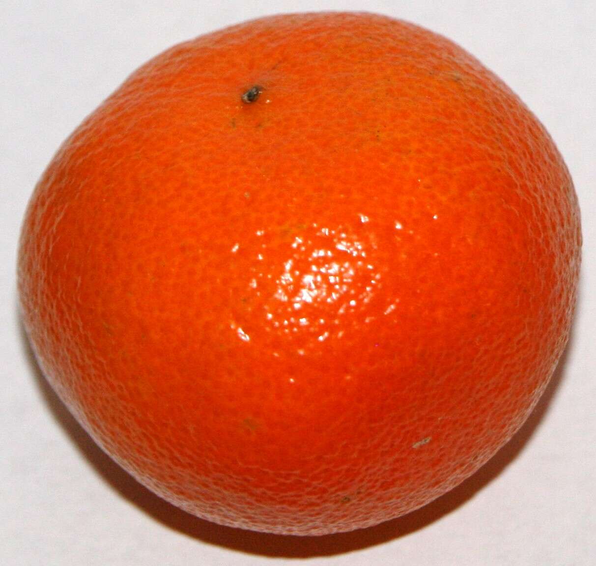 Image of Citrus × clementina