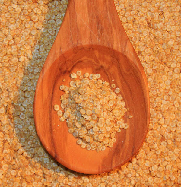 Image of quinoa