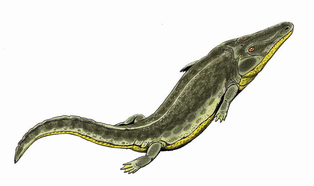 Image of Benthosuchus