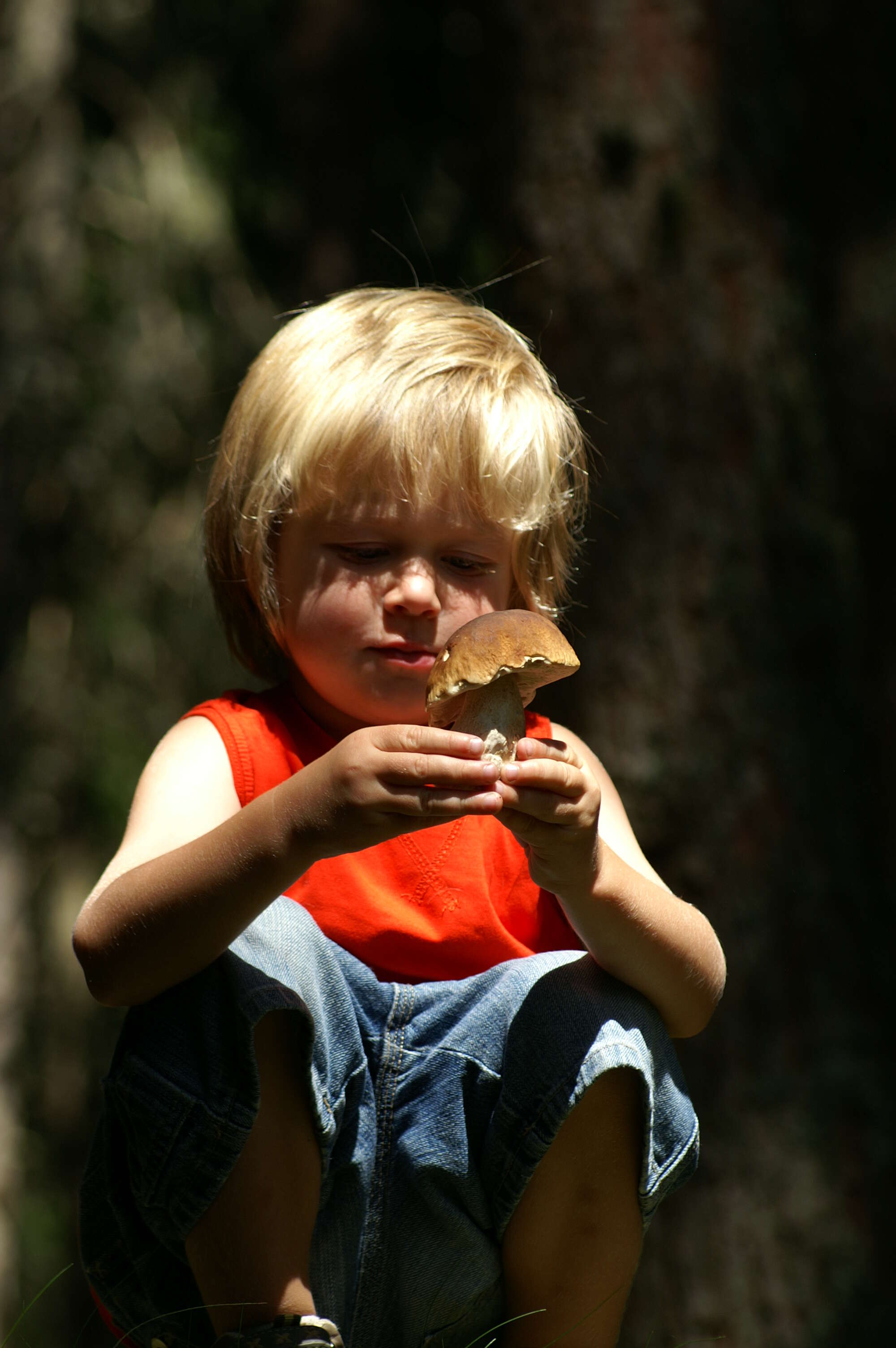 Image of Cep