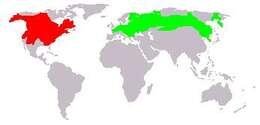 Plancia ëd Ondatra Link 1795