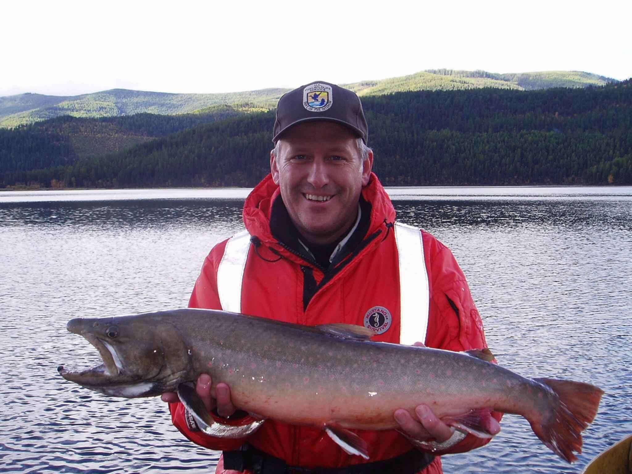 Image of Bull Trout