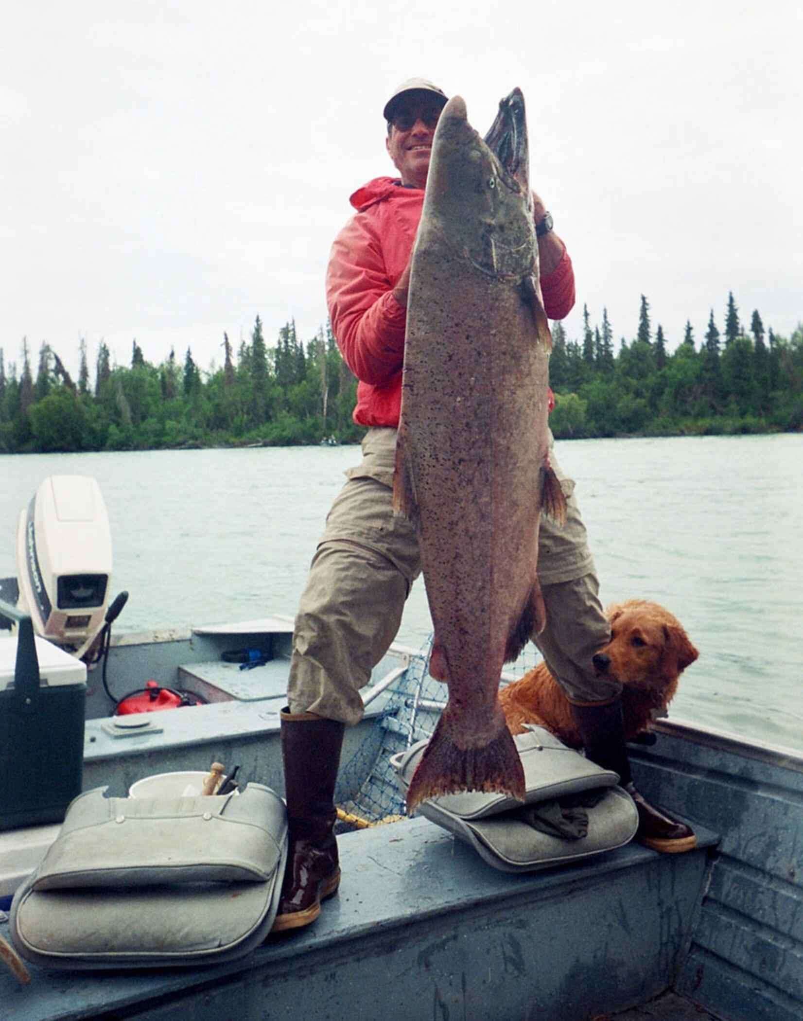 Image of Chinook Salmon
