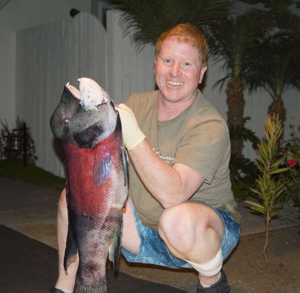 Image of sheepshead