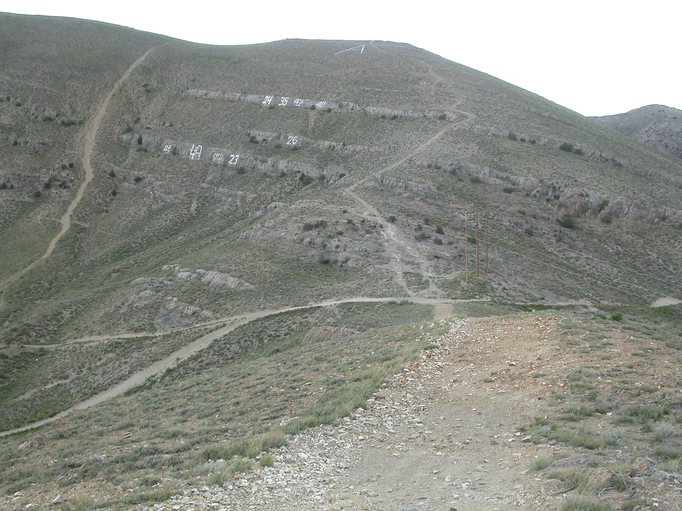 Image of low sagebrush