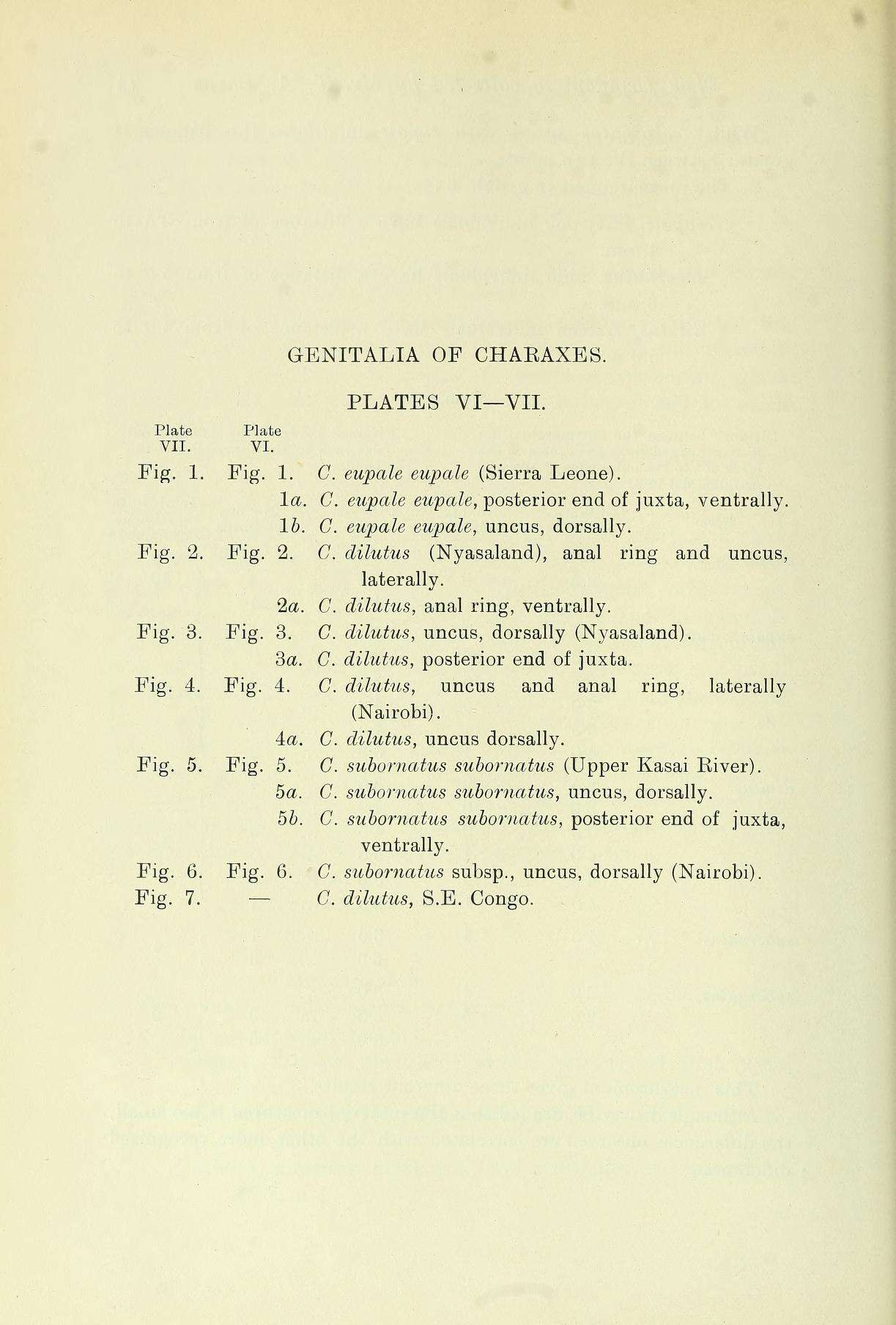 Image of Charaxes