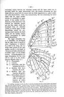 Image of Charaxes