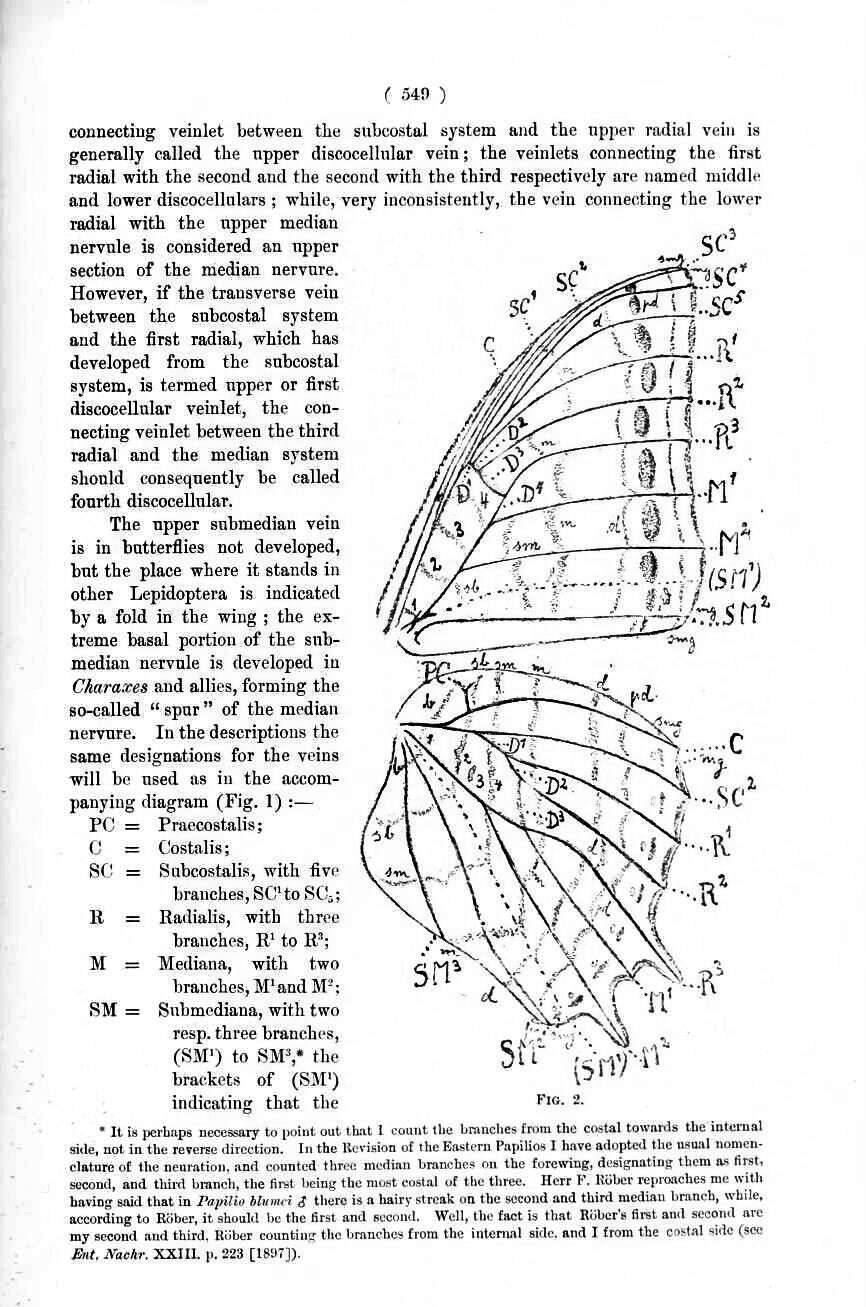 Image of Charaxes