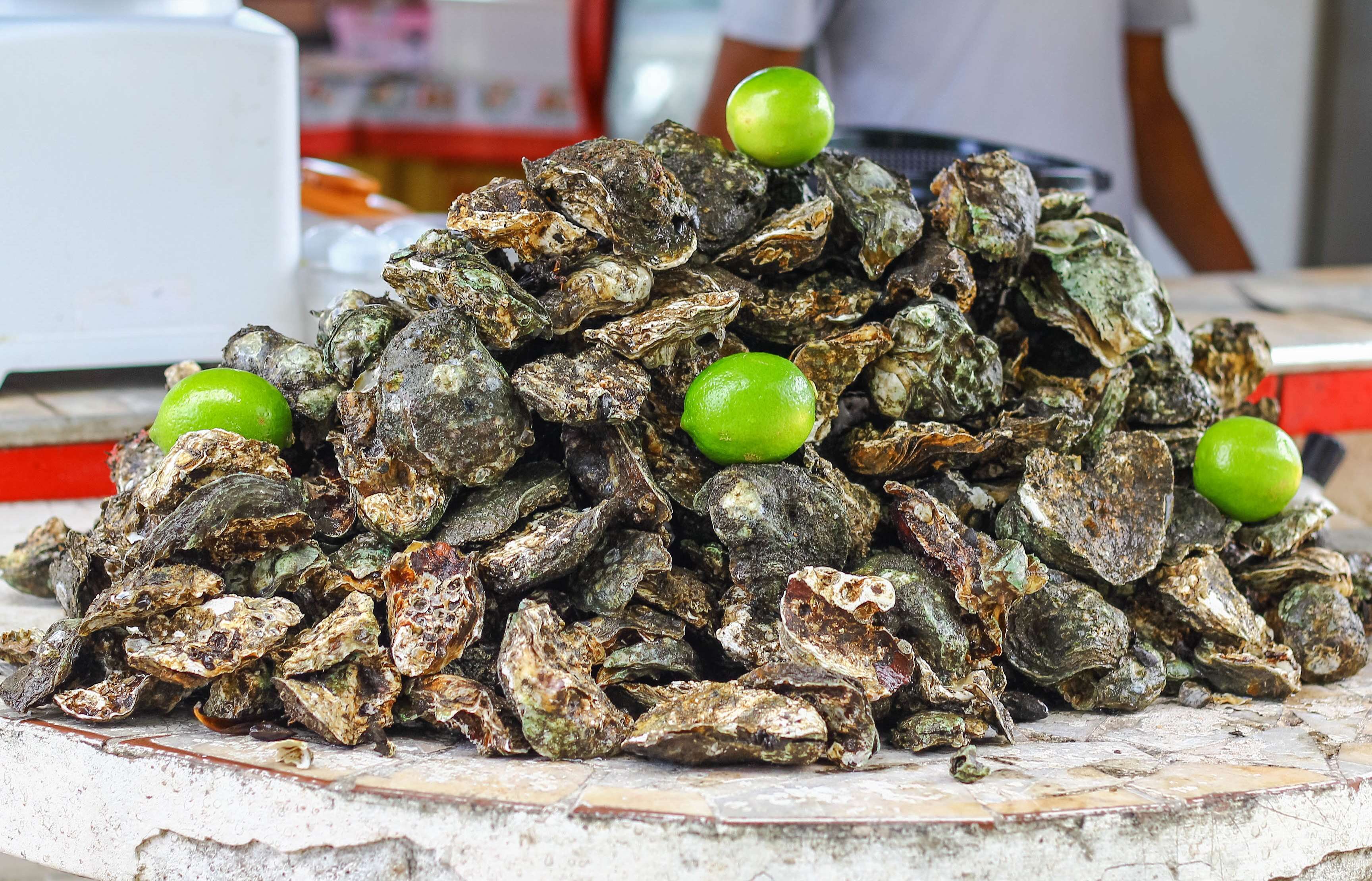 Image of Native oyster