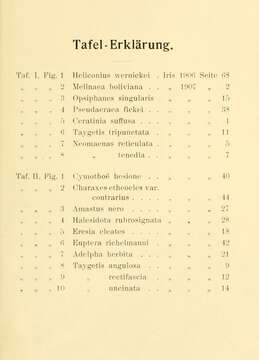 Image of Charaxes