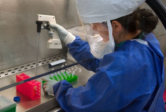 Image of Influenza A virus subtype H7N9