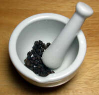 Image of black pepper