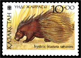 Image of Old World porcupines