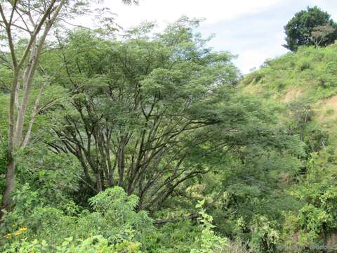 Image de Guanacaste