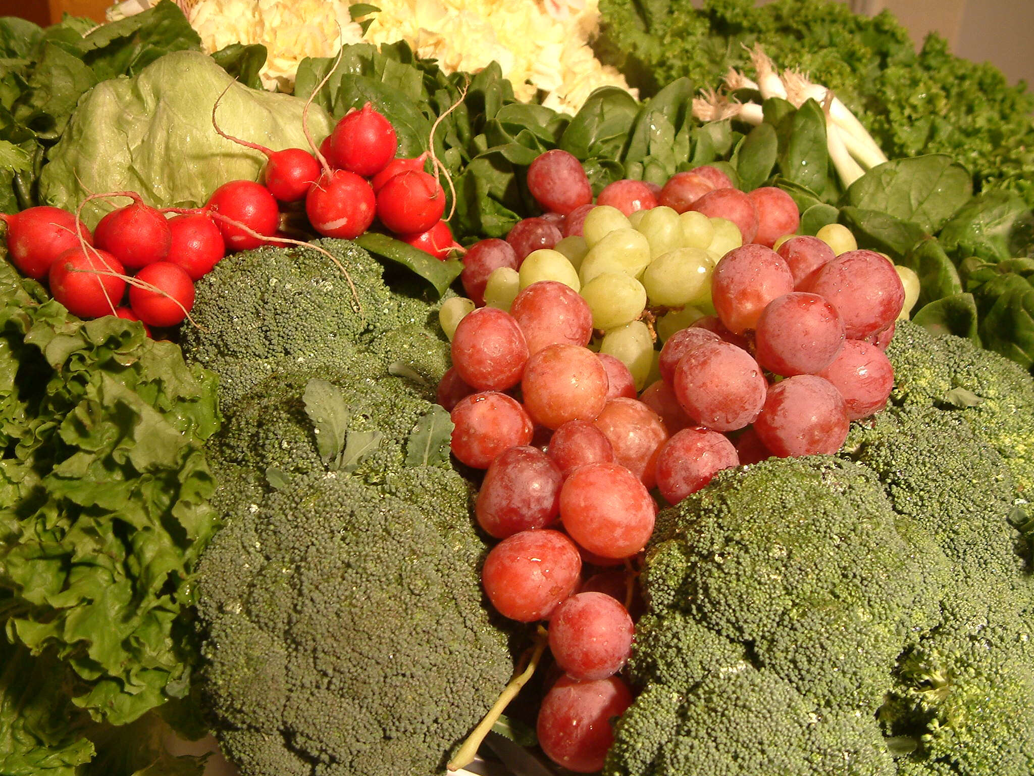 Image of sprouting broccoli