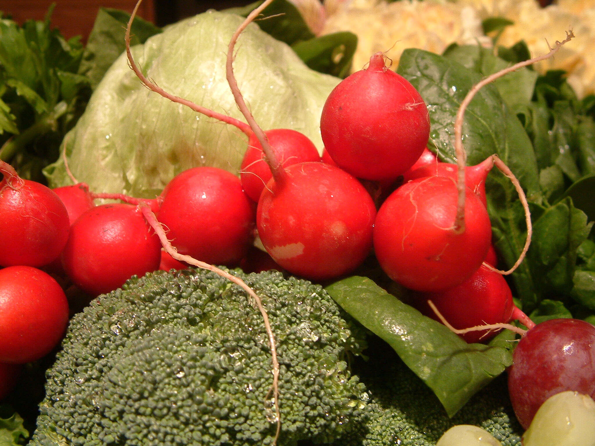 Image of sprouting broccoli