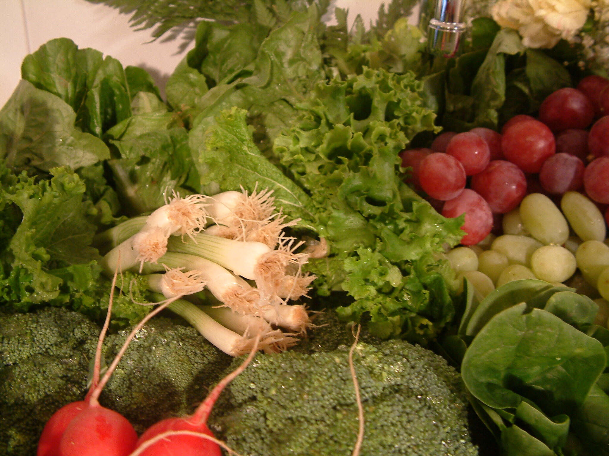 Image of sprouting broccoli