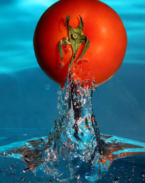 Image of tomato