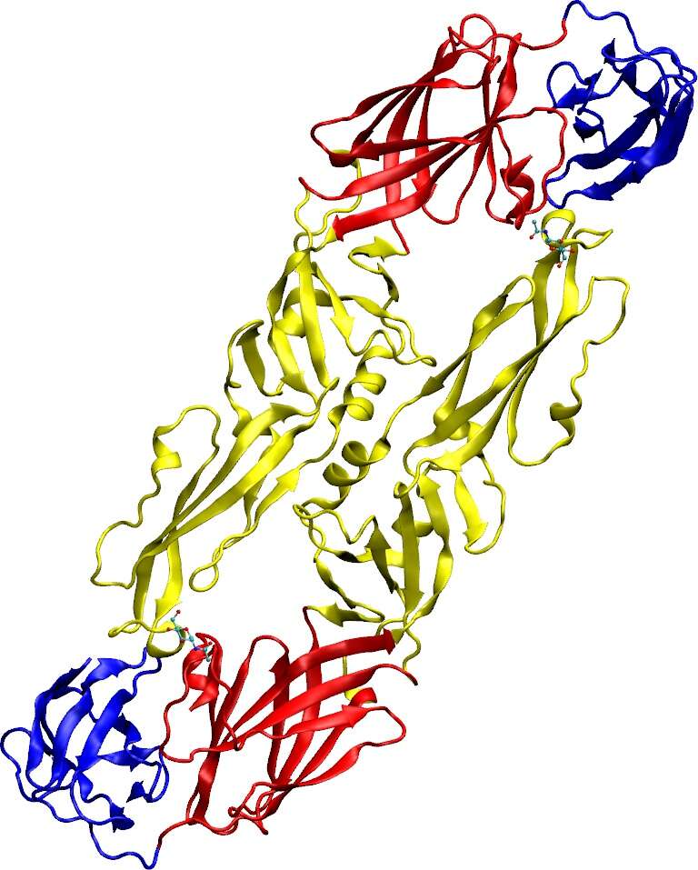 Image of Tick-borne encephalitis virus