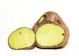 Image of air yam