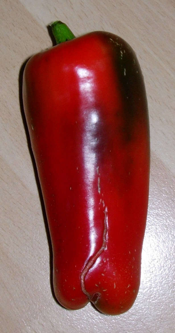 Image of cayenne pepper