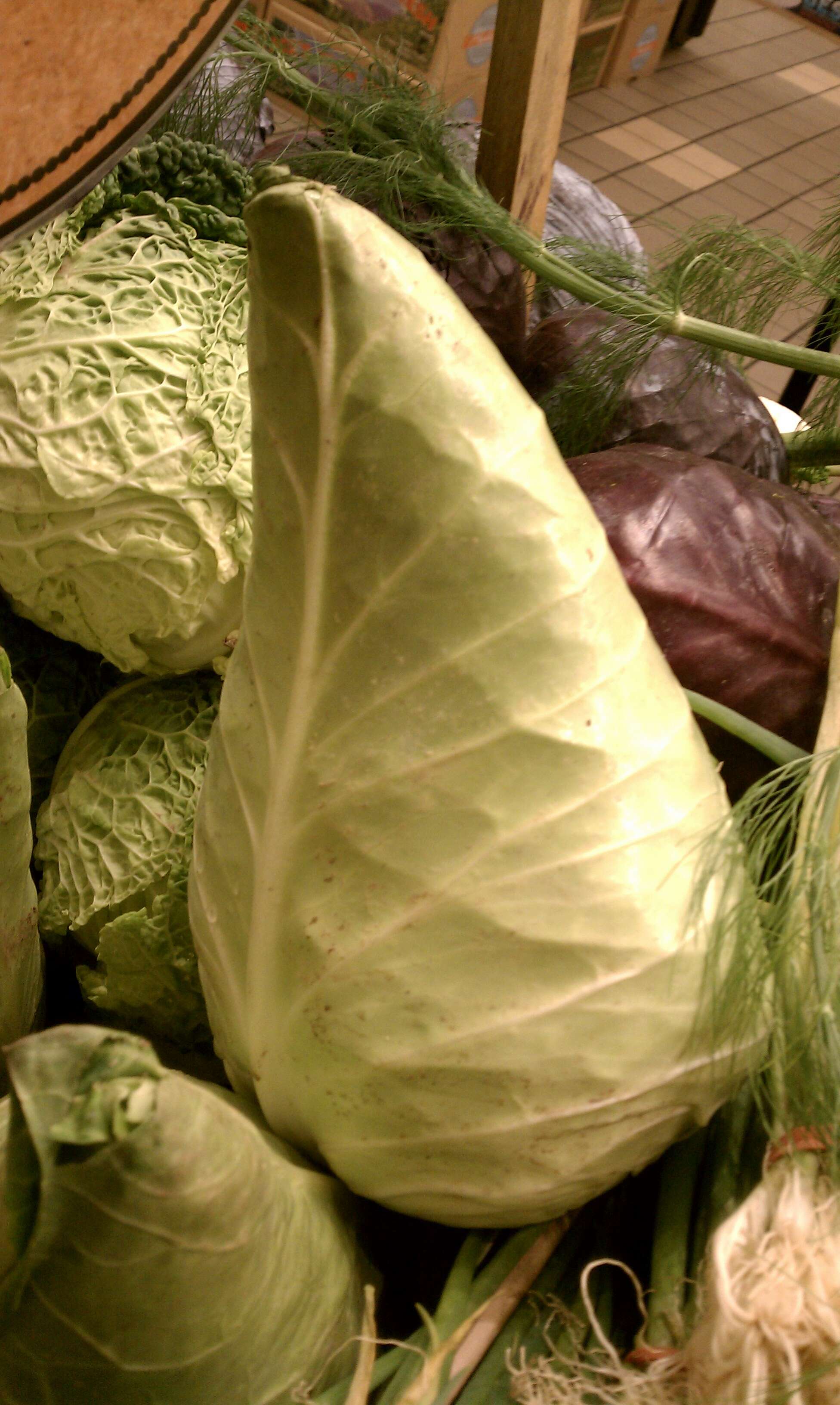 Image of white cabbage