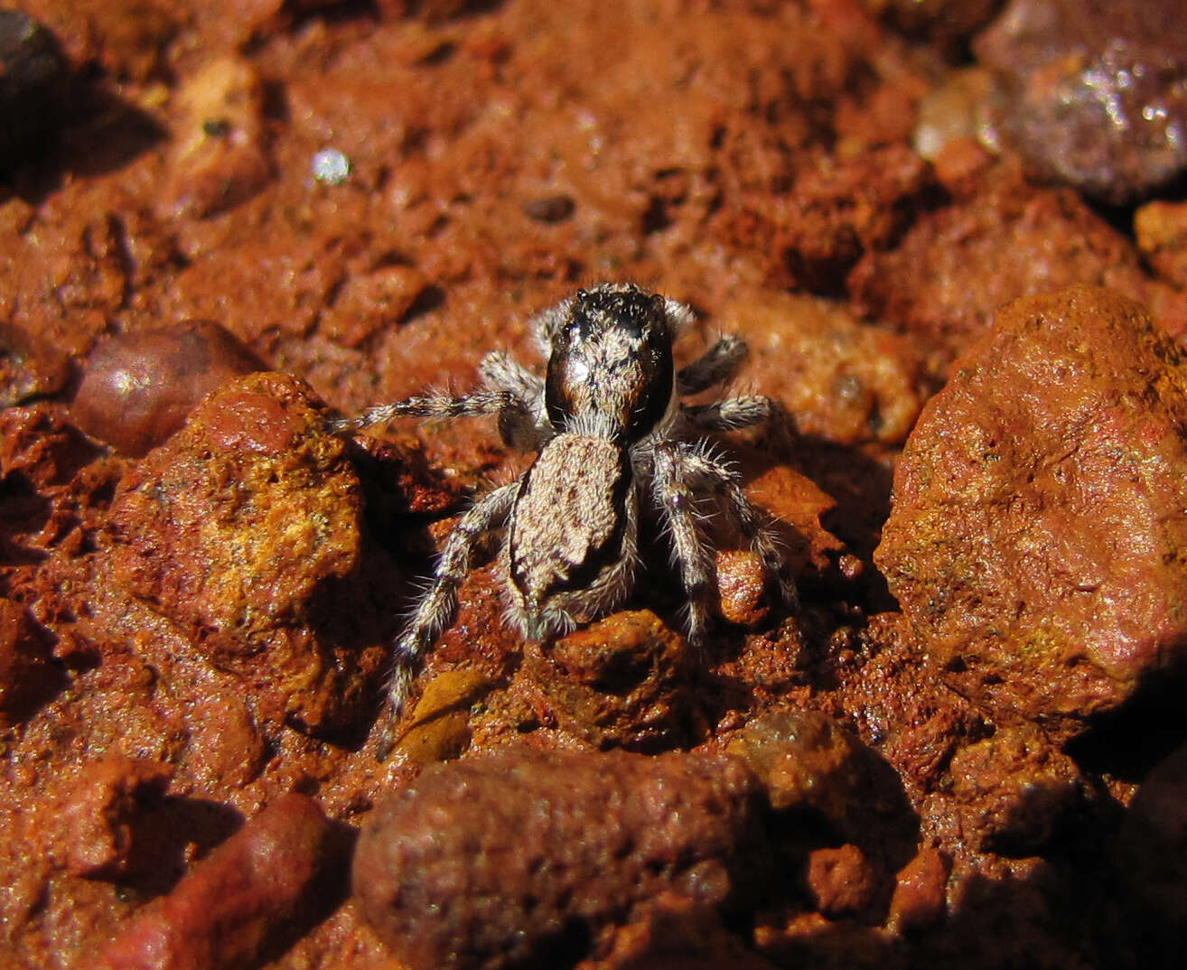 Image of Gray Wall Jumper