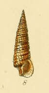 Image of needle shell