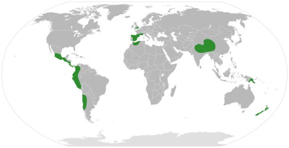 <span class="translation_missing" title="translation missing: en.medium.untitled.map_image_of, page_name: Coriaria">Map Image Of</span>