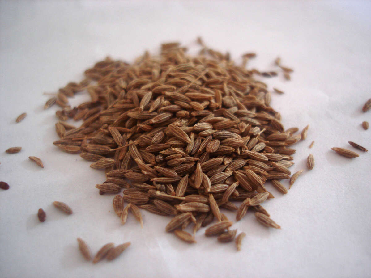 Image of cumin