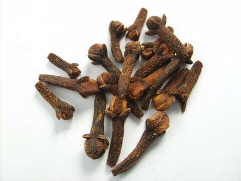 Image of clove