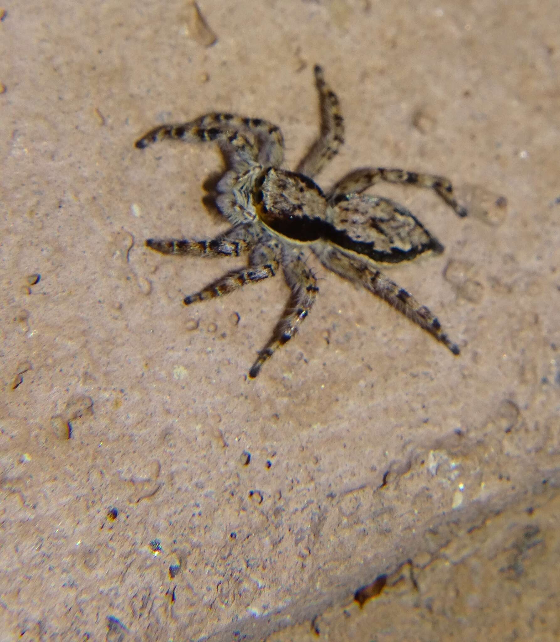 Image of Gray Wall Jumper