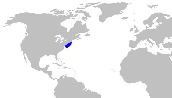 <span class="translation_missing" title="translation missing: en.medium.untitled.map_image_of, page_name: Deepwater Catshark">Map Image Of</span>