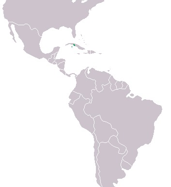 <span class="translation_missing" title="translation missing: en.medium.untitled.map_image_of, page_name: Cuban Crocodile">Map Image Of</span>