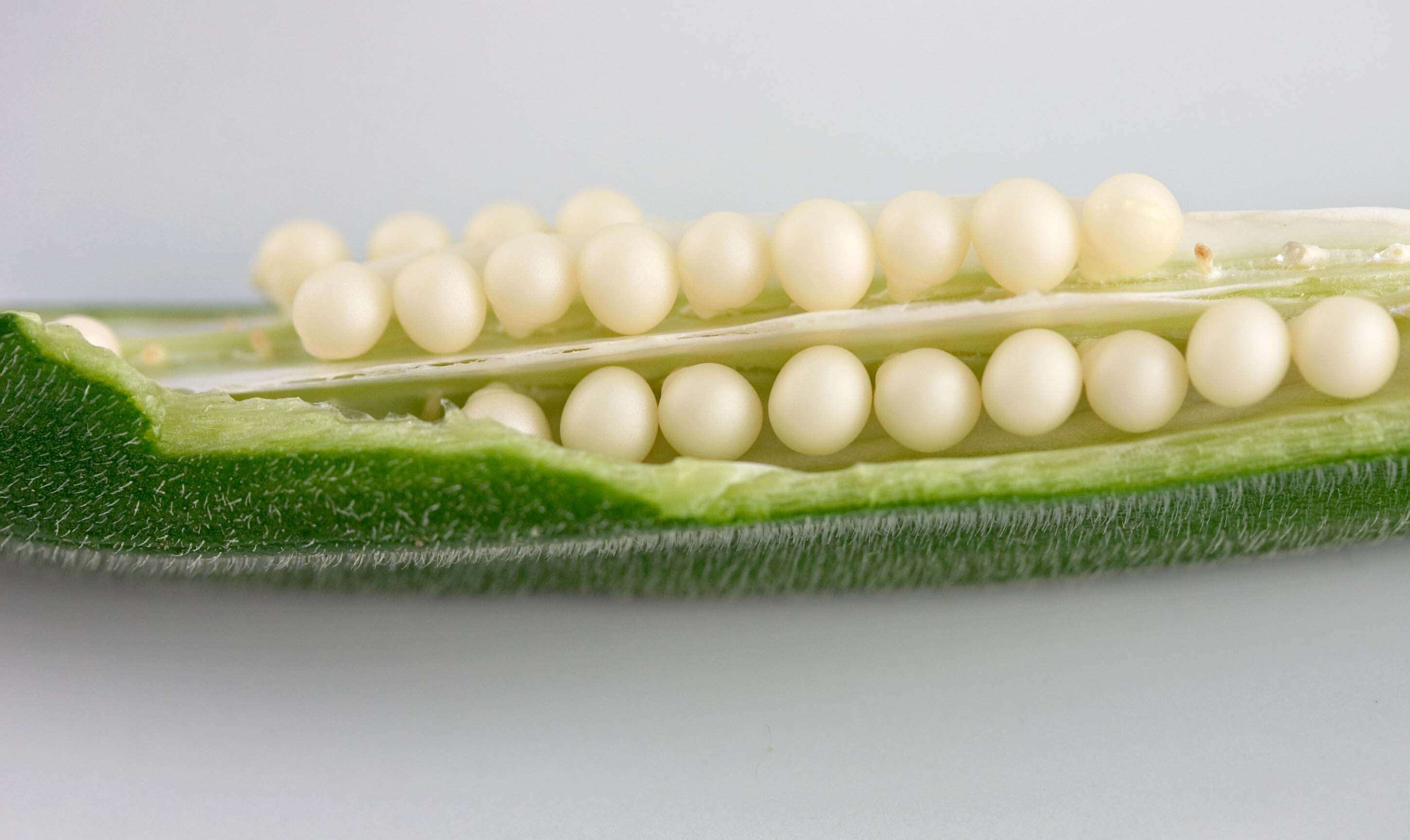 Image of okra