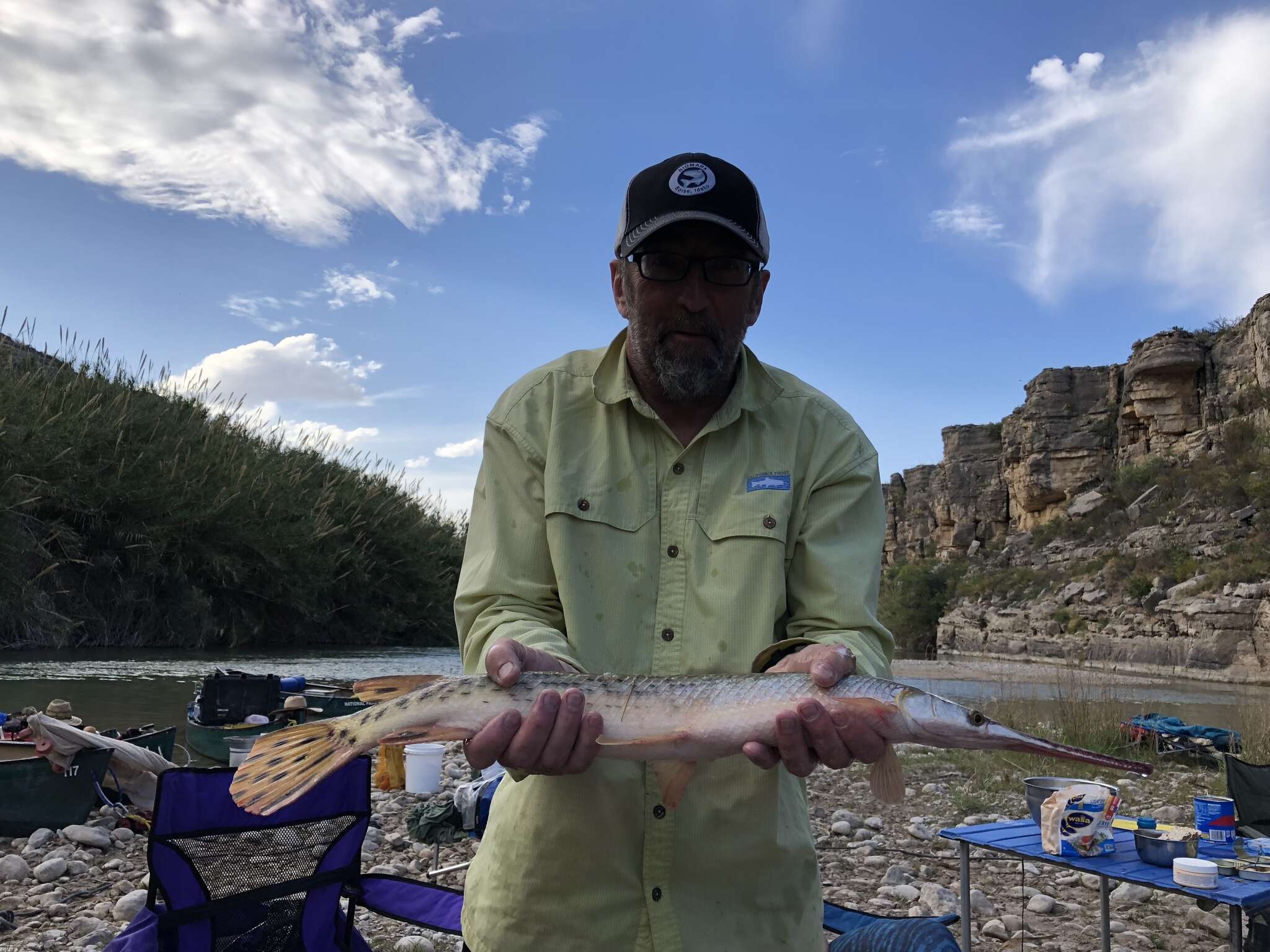 Image of Longnose Gar