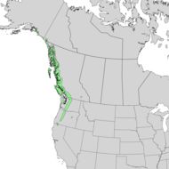 <span class="translation_missing" title="translation missing: en.medium.untitled.map_image_of, page_name: Alaska cedar">Map Image Of</span>