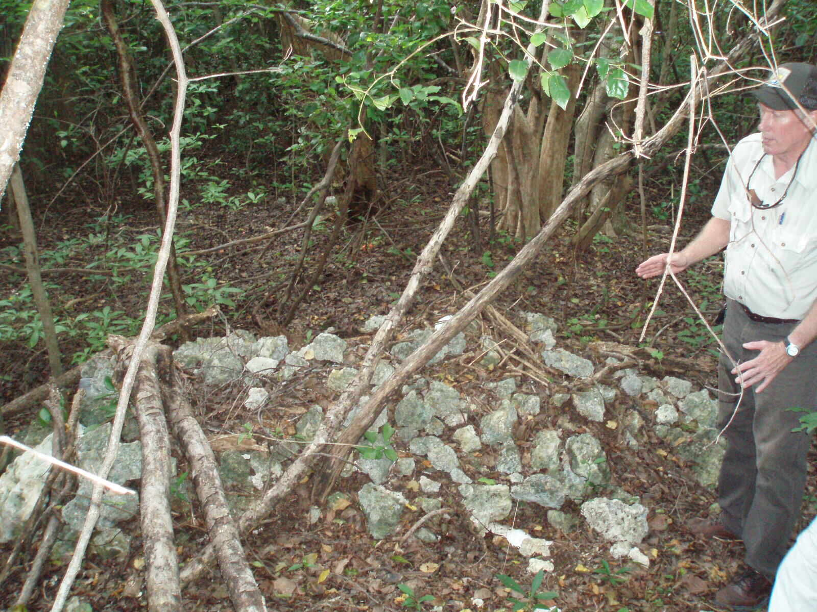 Image of Eastern Woodrat