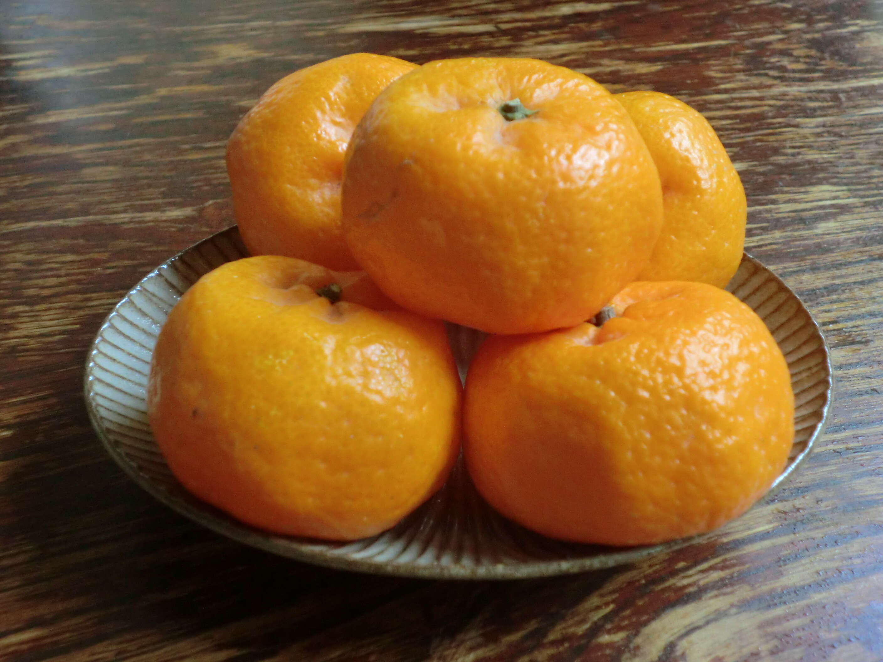 Image of Citrus unshiu