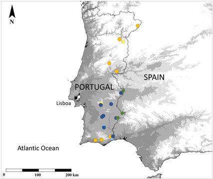 <span class="translation_missing" title="translation missing: en.medium.untitled.map_image_of, page_name: Giant African Mantis">Map Image Of</span>