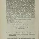 Image of Graphium hicetaon (Mathew 1886)