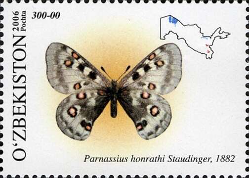 Слика од Parnassius honrathi Staudinger 1882